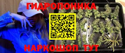 прущие крисы Можайск