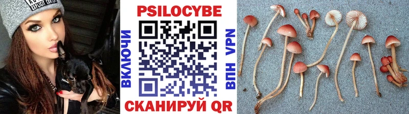 Псилоцибиновые грибы ЛСД  Черкесск 