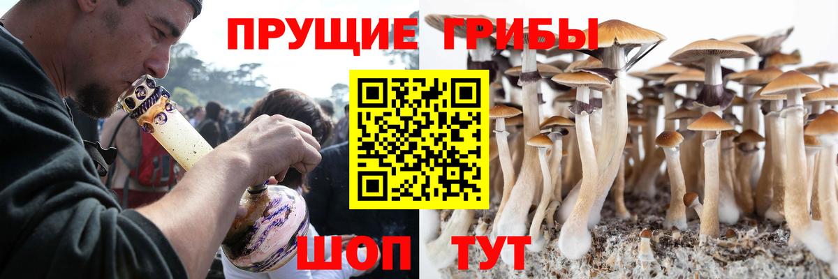 Псилоцибиновые грибы прущие грибы Черкесск