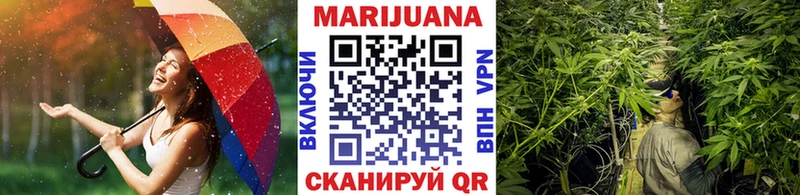 ссылка на мегу зеркало  купить наркоту  Черкесск  Бошки Шишки марихуана 